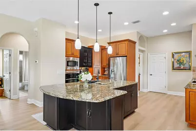 19117 Mandarin Grove Place, Tampa, FL 33647 - Photo 14