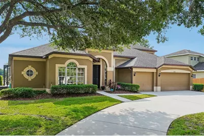 19117 Mandarin Grove Place, Tampa, FL 33647 - Photo 1