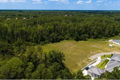 297 Magnolia Acres Court, Lutz, FL 33548 - Photo 20
