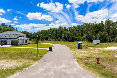297 Magnolia Acres Court, Lutz, FL 33548 - Photo 8