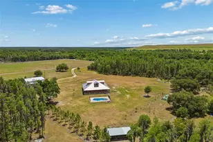 41451 Nipper Rd, Zephyrhills, FL 33540 - Photo 50