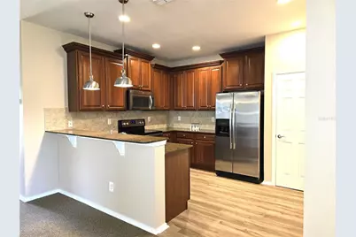 5646 Sunset Falls Drive, Apollo Beach, FL 33572 - Photo 4