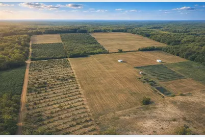 900 Buffum Church Road, Fort Meade, FL 33841 - Photo 18