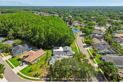 5488 Oakridge Drive, Palm Harbor, FL 34685 - Photo 48