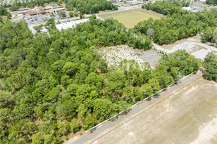 15022 Gar St, Spring Hill, FL 34609 - Photo 16