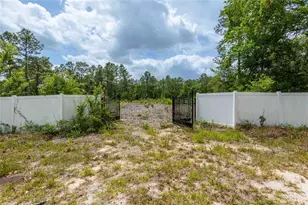 15022 Gar St, Spring Hill, FL 34609 - Photo 1