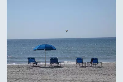 9825 Harrell Avenue #404, Treasure Island, FL 33706 - Photo 32