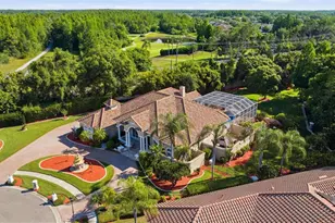 19115 St Emilion Ct, Lutz, FL 33558 - Photo 52