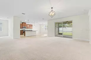 11626 Lake Lucaya Dr, Riverview, FL 33579 - Photo 52