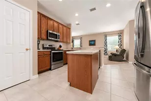 6302 Bridgevista Dr, Lithia, FL 33547 - Photo 8