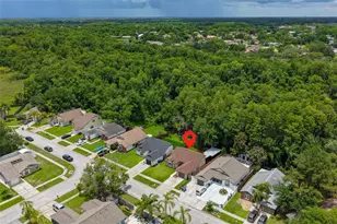12832 Coverdale Dr, Tampa, FL 33624 - Photo 46