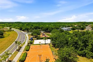 9643 Asbel Estates St, Land O Lakes, FL 34638 - Photo 40
