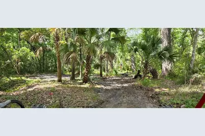 0 Paul S Buchman Highway, Zephyrhills, FL 33540 - Photo 1