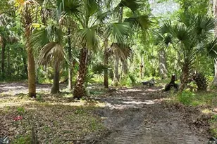 0 Paul S Buchman Hwy, Zephyrhills, FL 33540 - Photo 1