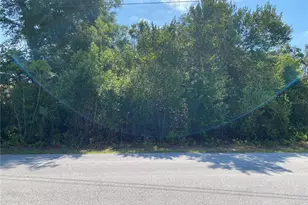 Gatewood Ave, Spring Hill, FL 34608 - Photo 1