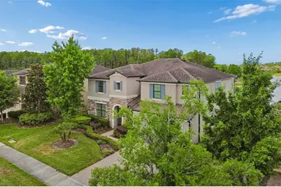 13218 Batten Lane, Odessa, FL 33556 - Photo 4