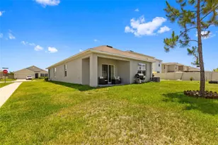 2959 Common Fig Run, Wesley Chapel, FL 33543 - Photo 20