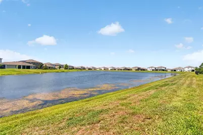 152 Bright Ibis Avenue, Apollo Beach, FL 33572 - Photo 52