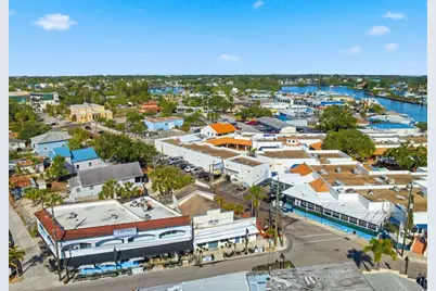 531 Athens Street, Tarpon Springs, FL 34689 - Photo 48