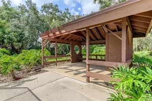 2909 Fig Ct, Palm Harbor, FL 34684 - Photo 42
