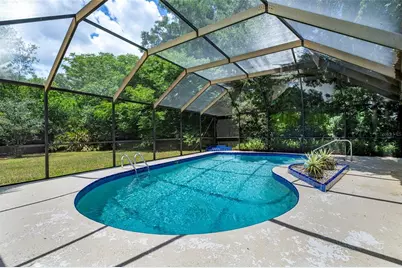 207 Dunbridge Drive, Palm Harbor, FL 34684 - Photo 26