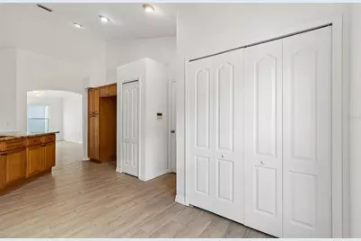 30449 Tremont Drive, Wesley Chapel, FL 33543 - Photo 8