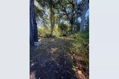 409 Lebeau Street, Clearwater, FL 33755 - Photo 14
