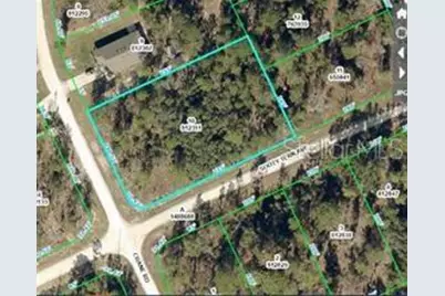 16200 Crane Road, Weeki Wachee, FL 34614 - Photo 1