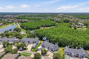 18740 Wimbledon Cir, Lutz, FL 33558 - Photo 66
