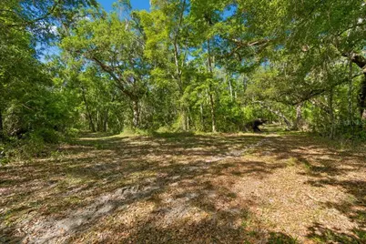 31501 Reed Road, Dade City, FL 33523 - Photo 30