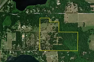 31501 Reed Rd, Dade City, FL 33523 - Photo 1