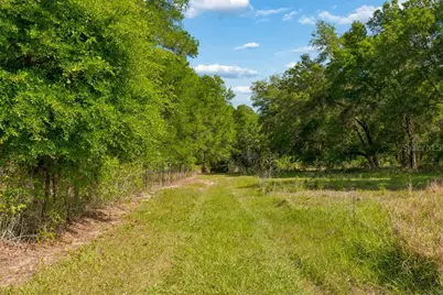 31501 Reed Road, Dade City, FL 33523 - Photo 20