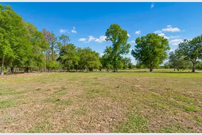 31501 Reed Road, Dade City, FL 33523 - Photo 8