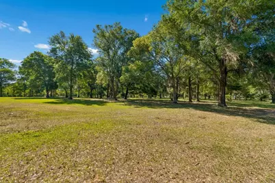 31501 Reed Road, Dade City, FL 33523 - Photo 6