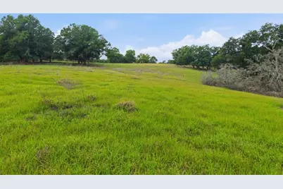 31501 Reed Road, Dade City, FL 33523 - Photo 44