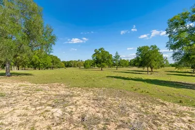 31501 Reed Road, Dade City, FL 33523 - Photo 10
