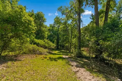 31501 Reed Road, Dade City, FL 33523 - Photo 28