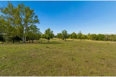 31501 Reed Road, Dade City, FL 33523 - Photo 12
