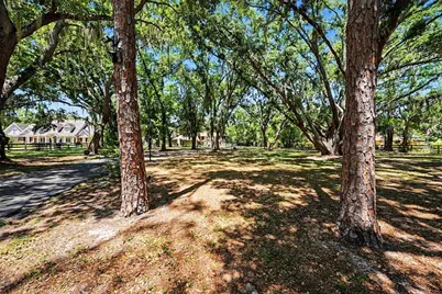 16502 Offenhaur Road, Odessa, FL 33556 - Photo 54