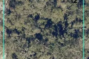 12146 SW 41st Way, Webster, FL 33597 - Photo 1