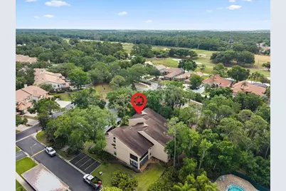 10 Shamrock Way #10, Oldsmar, FL 34677 - Photo 42