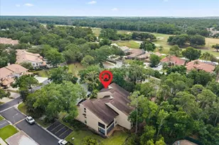 10 Shamrock Way, Oldsmar, FL 34677 - Photo 42