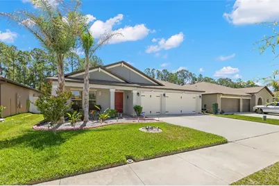 13511 Willow Bluestar Loop, Riverview, FL 33579 - Photo 4