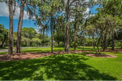 2993 Northfield Drive, Tarpon Springs, FL 34688 - Photo 64