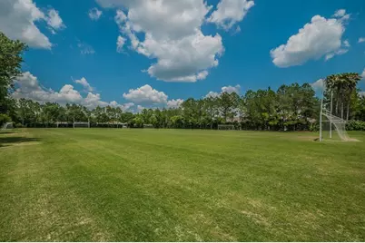 2993 Northfield Drive, Tarpon Springs, FL 34688 - Photo 60