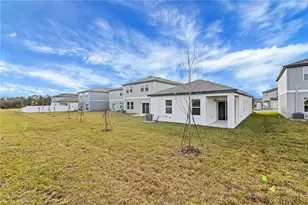 35605 Buttonweed Trl, Zephyrhills, FL 33541 - Photo 6