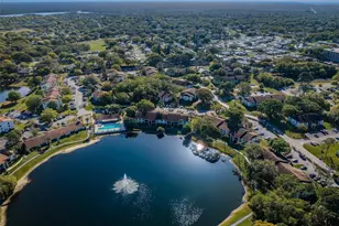 2600 Pine Ridge Way S, Palm Harbor, FL 34684 - Photo 70