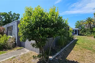 3442 Overland Dr, Holiday, FL 34691 - Photo 64