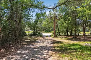 353 N Rock Crusher Rd, Crystal River, FL 34429 - Photo 6
