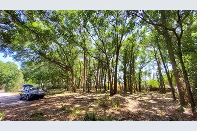 25050 Algonquin Avenue, Mount Plymouth, FL 32776 - Photo 10